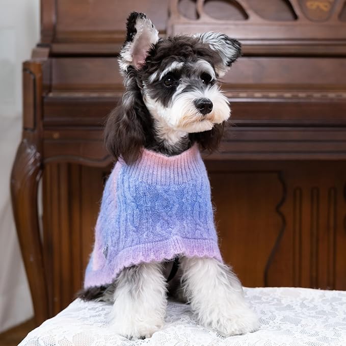 Rainbow Mohair Dog Poncho, Cold Weather Cable Dog Sweater for Small Dogs, Classic Turtleneck Thick Puppy Clothes with Leash Hole DS93XL