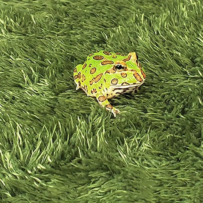 ibasenice Artificial Grass Reptile Mat 45x30cm Moss Carpet Substrate for Tortoise Bearded Dragon and Amphibians Terrarium Bedding Moisture Retention Pet Supply