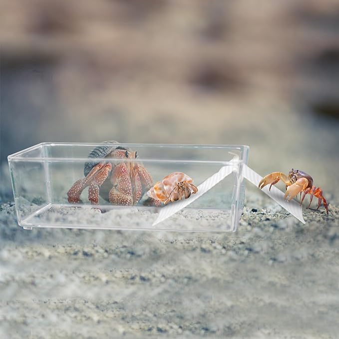 2 Pack Large Transparent Hermit Crab Tank with Climbing Ramp, Aquarium Tank Cage Salt Water Pool Accessories, Habitat for Small to Large Hermit Crab