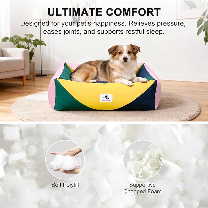 290 GSM Cotton Canvas Dog Couch Bed, Washable Removable Cover, Tough Bolster with Supportive Chopped Foam, Anti-Slip Bottom (Medium)
