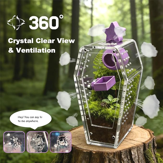 Jumping Spider Enclosure,Acrylic Magnetic Terrarium with Water Feeder and Star Hide,Terrarium Kit for Tarantulas Snails 5.9x2.6x3 Inches 6PCS(Purple)