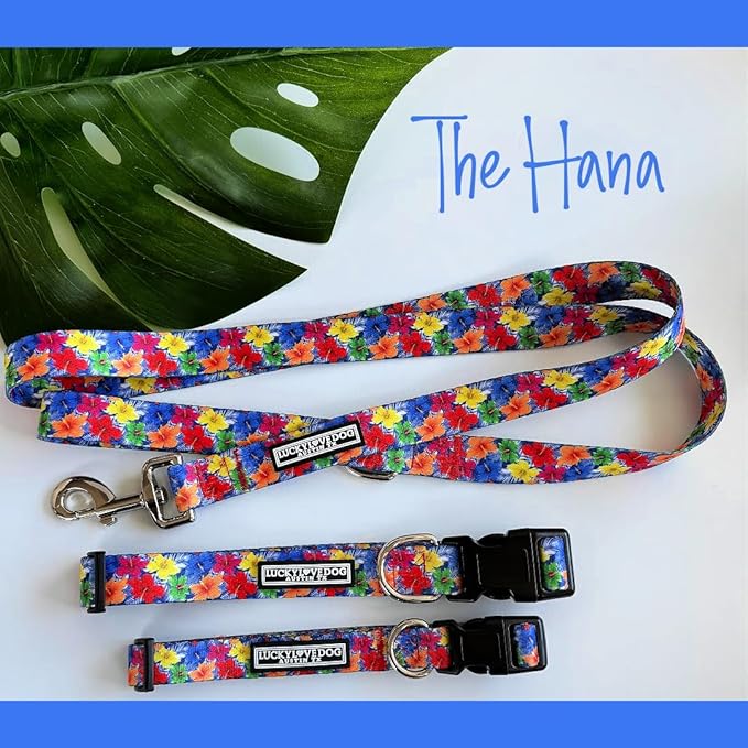 Lucky Love Dog - Adjustable Dog Collar with Easy Click Buckle for Large Ones, Durable, & Comfortable for Male & Female Dogs, Pet Collar for Puppies & Adult Dogs - Hana, Large