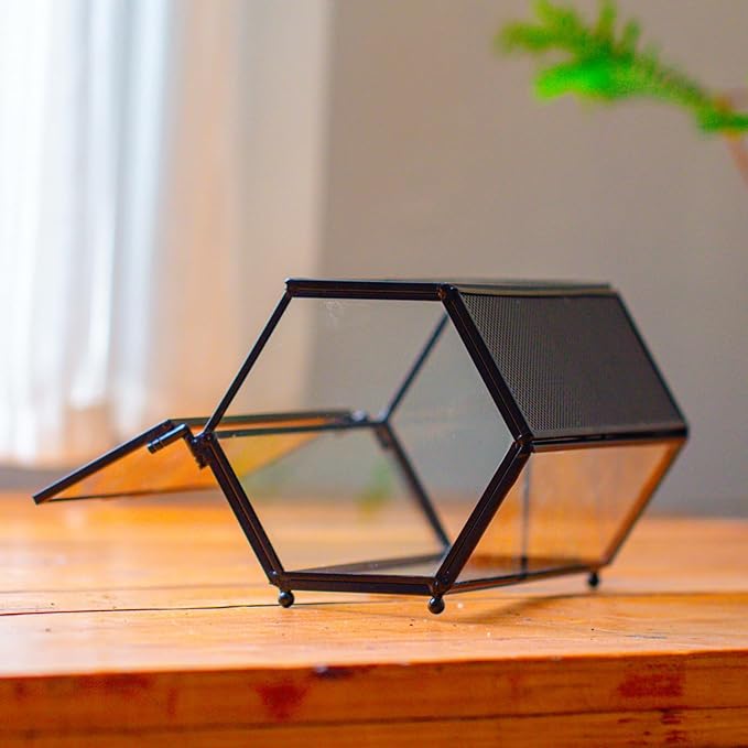 NCYP Small Glass Enclosure Terrarium with Mesh & Door for Tiny Beetle - Hexagon Jumping Spiders Vented Glass Terrarium 7.87'' x 4.52'' x 3.93'', Black (Plants Not Include)