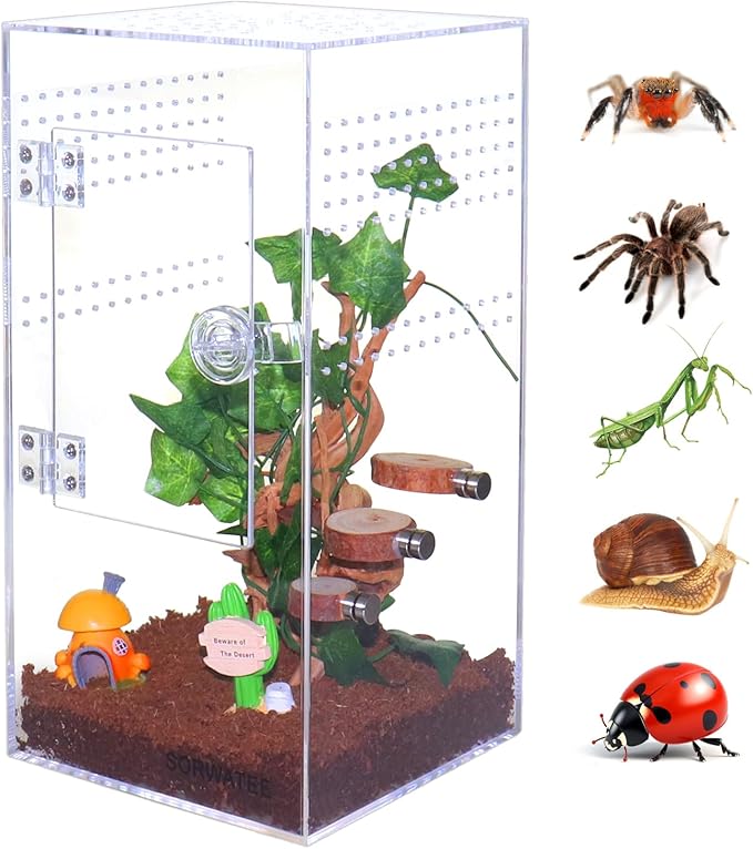 Jumping Spider Enclosure Acrylic Jumping Spider Terrarium with Front Opening Door, Micro Habitat Terrarium for Small Tree Dwelling Reptiles, Arboreal Tarantula Enclosure (6X6X12 Inches)