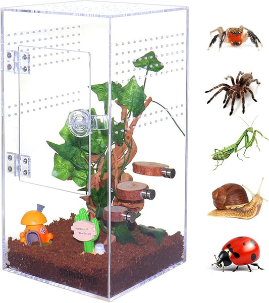 Jumping Spider Enclosure Acrylic Jumping Spider Terrarium with Front Opening Door, Micro Habitat Terrarium for Small Tree Dwelling Reptiles, Arboreal Tarantula Enclosure (6X6X12 Inches)