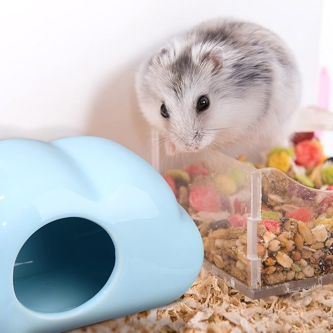 Angoily 2pcs Ceramic Hamster House Cloud Shape Hideout for Guinea Pigs Small Pet Nest