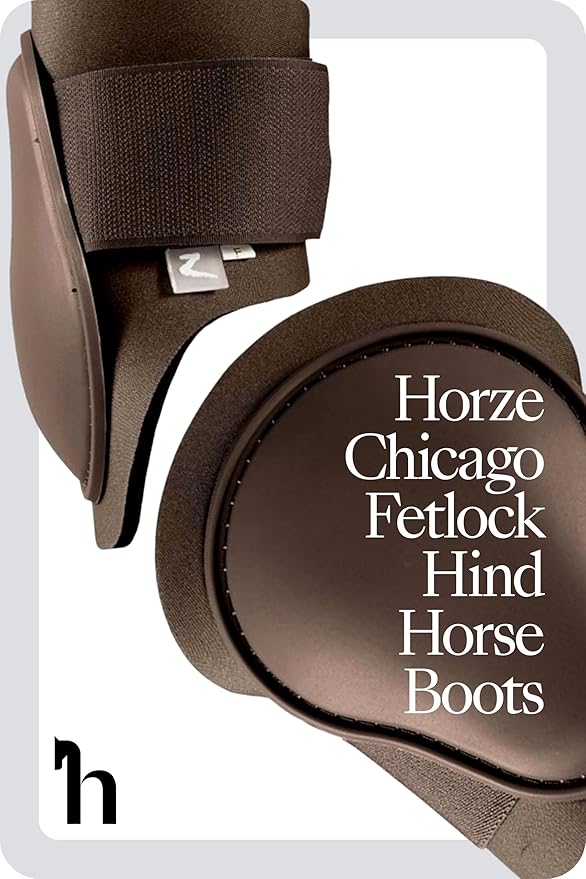 HORZE Chicago Fetlock Rear Boots | Lightweight, Adjustable, Jumping Horse Boots (Pair) - Chocolate Brown - Cob