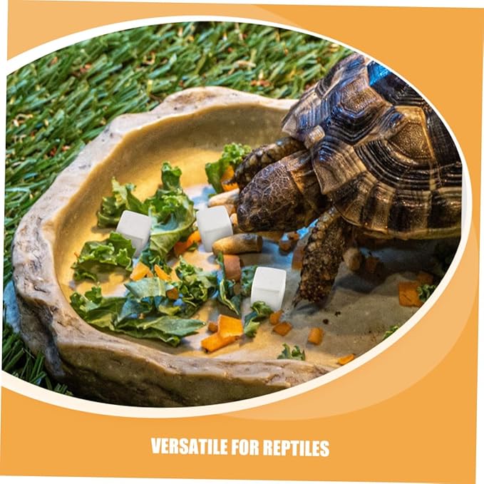 30pcs Natural Mineral Calcium Rocks for Reptiles and Amphibians Enhances Water Stability and Teeth Grinding Provides Essential Trace Elements for Turtle Tortoise Frog Lizard and
