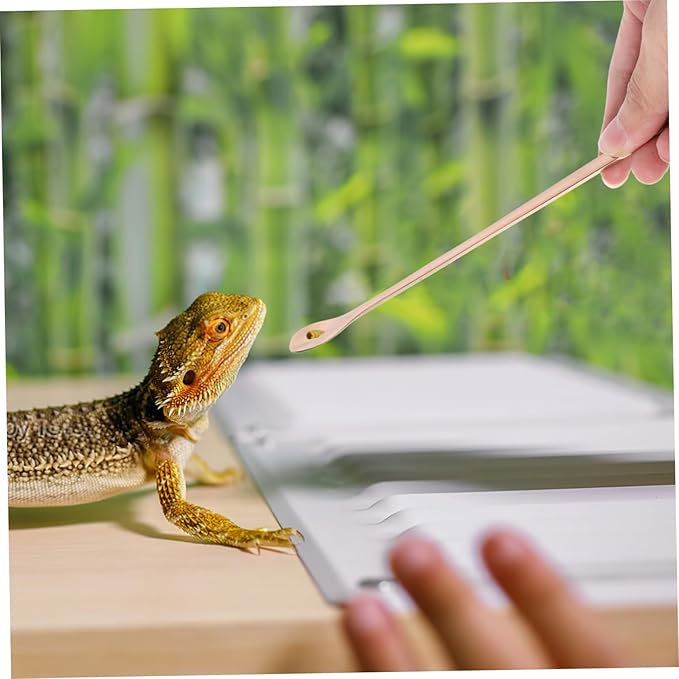 Happyyami 2pcs Reptile Feeding Spoon Ergonomic Handle Stainless Steel Pet Food Scoop for Lizard and Small Animals Easy to Use and Feeding Tool