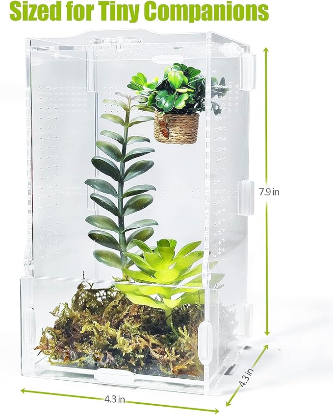 Jumping Spider Enclosure, Transparent Arboreal Tarantula Habitat, Praying Mantis Terrarium Critter Cage for Jumping Spider, Tarantula Slings, Mantis, Snail, Isopods, Beetles, Millipedes