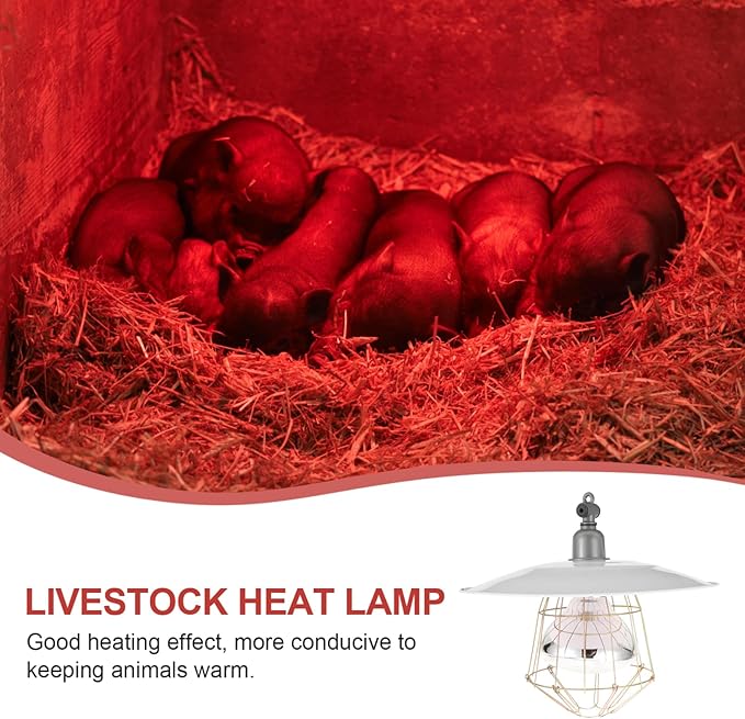 BESPORTBLE Outdoor Heat Lamp for Pets and Chickens Livestock Thermostat Lamp Iron and Glass Material Easy to Install and Remove Wide Application Safe for Animals