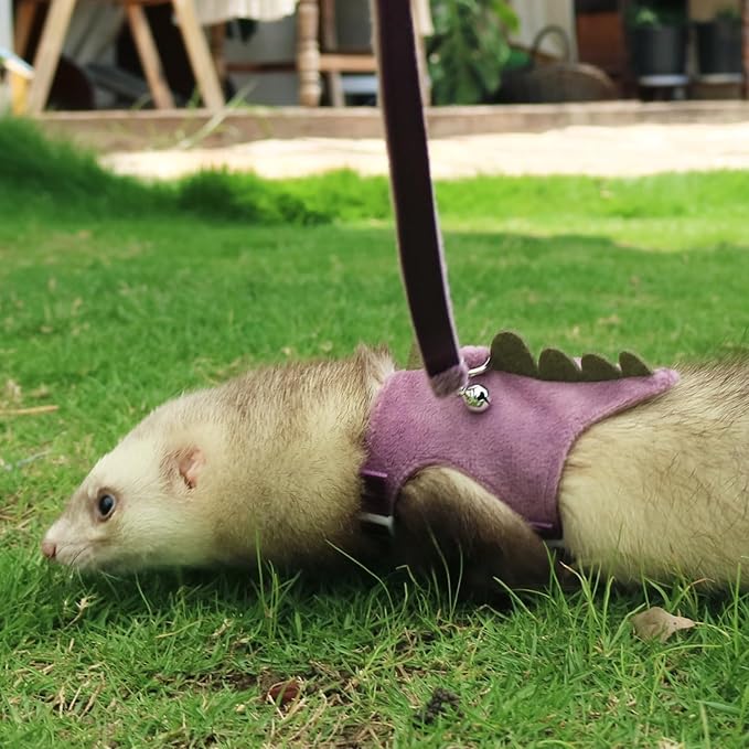 Bearded Dragon Harness and Leash Set - Soft Fleece Dinosaur Vest with Safe Bell Adjustable Lizard Traction Rope Escape Proof Outdoor Walking Training Leash for Ferret Rat Kitten Puppy (Purple)