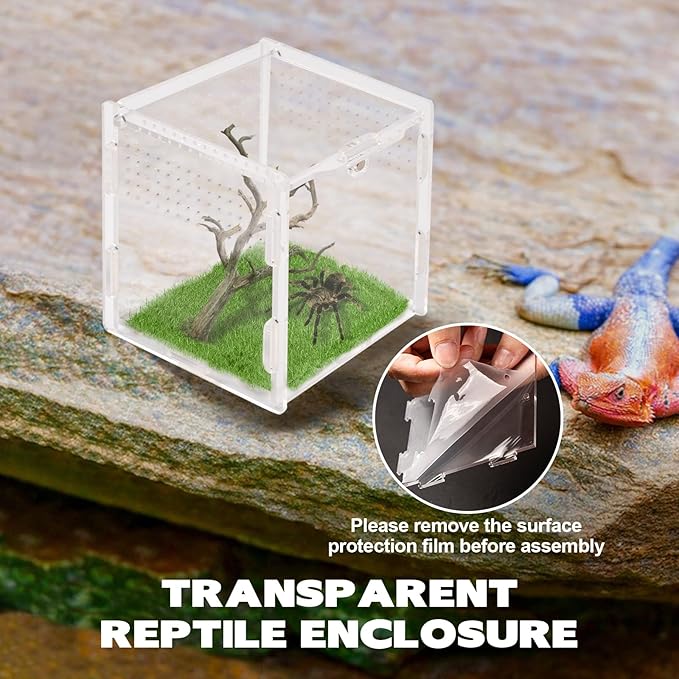 Rislobx Jumping Spider Enclosure, Acrylic Reptile Terrarium Enclosure Micro Habitat Tank Breeding Box for Tarantula Insect Small Reptiles (3.7" x 3.5" x 3.5")