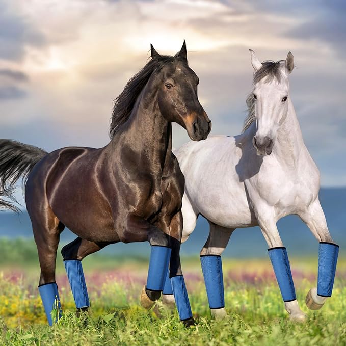 Jexine Set of 8 Mesh Fly Boots for Horse Loose Fitting Non Slip Breathable Horse Fly Leggings Protective Reduces Stress Leg Fatigue Wraps for Preventing Flies Mosquitoes Bite