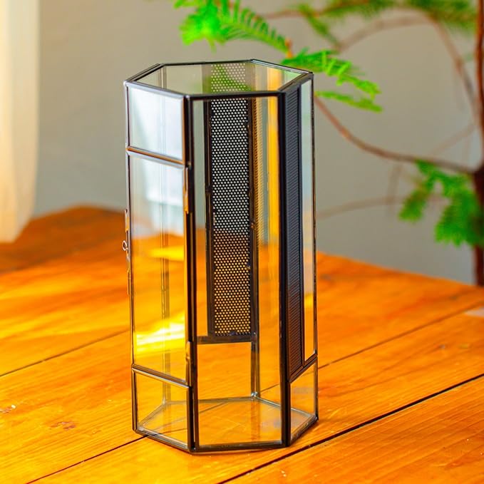 NCYP Small Glass Enclosure Terrarium with Mesh and Door for Spiders - Hexagon Shape Small Mantis Vented Glass Terrarium 4.9'' x 4.3'' x 9.4'', Tabletop Decor, Black (Plants Not Include)