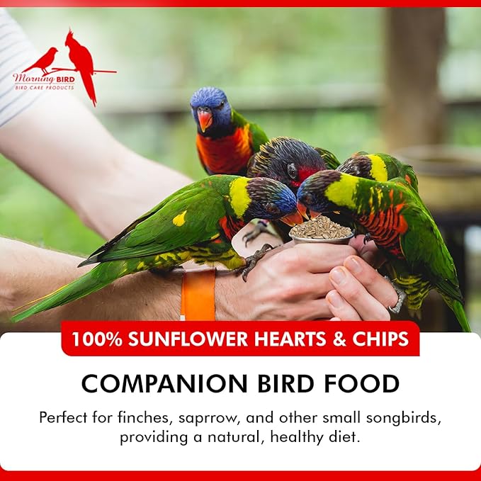 Morning Bird Sunflower Hearts & Chips 9 lbs – Premium Bird Seed with High Protein & Healthy Fat - Shelled Sunflower Hearts for Birds - Mess Free, Easy to Feed, Delicious Snack