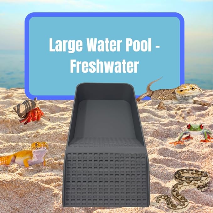 Chatelet Hermit Crab, Lizard, Turtle, Amphibian XL Watering Pool | Platform Pool Accessory with Access Ramp for Pet Habitats | 9.75" x 5" | Made in USA (X-Large) (Fresh Only, Gray)