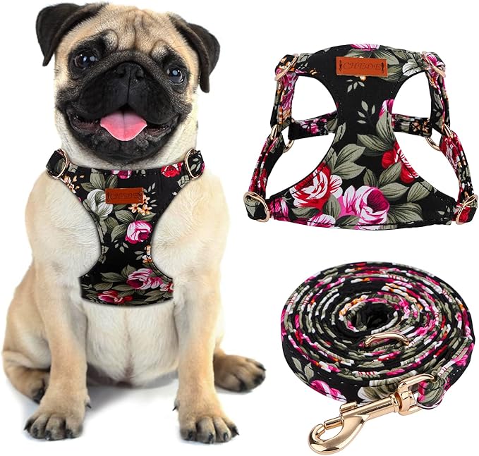 CHEDE No Pull Floral Pattern Dog Harness- Lightweight and Soft Harness, Adjustable Small Dog Harness and Leash Set, with Dog Leash, Suitable for Puppy Small and Medium-Sized Dog (M, Black Flower)