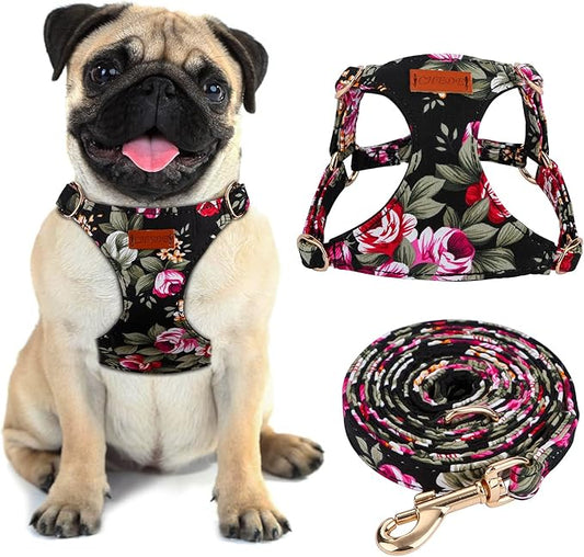 CHEDE No Pull Floral Pattern Dog Harness- Lightweight and Soft Harness, Adjustable Small Dog Harness and Leash Set, with Dog Leash, Suitable for Puppy Small and Medium-Sized Dog (S, Black Flower)