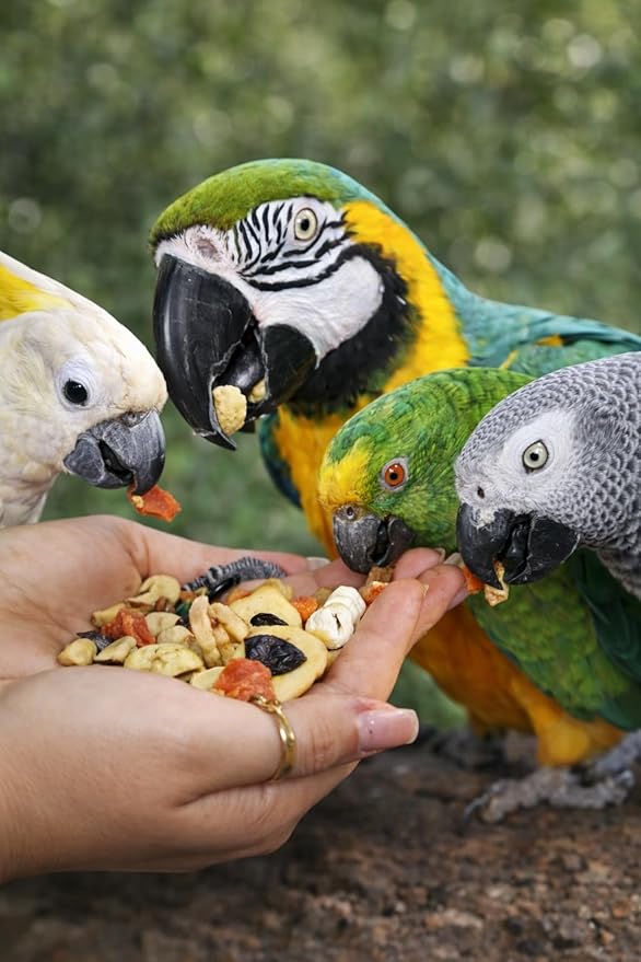 Birds LOVE All Natural Garden Blend Bird Food for Parrots 6lb