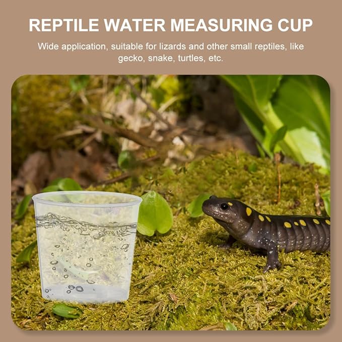 POPETPOP 30pcs Reptile Food Measuring Cups 20ml Reusable Washable Feeding Bowls for Gecko Lizard Terrarium Pet Supplies