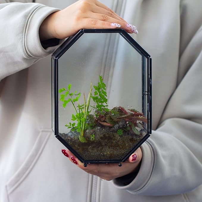 NCYP Glass Enclosure Terrarium with Mesh and Door for Spiders, Small Mantis, Jumping Spider - Octagon Shape Vented Glass Terrarium 6.2 x 3.1 x 8.7 inches, Black (Plants Not Include)