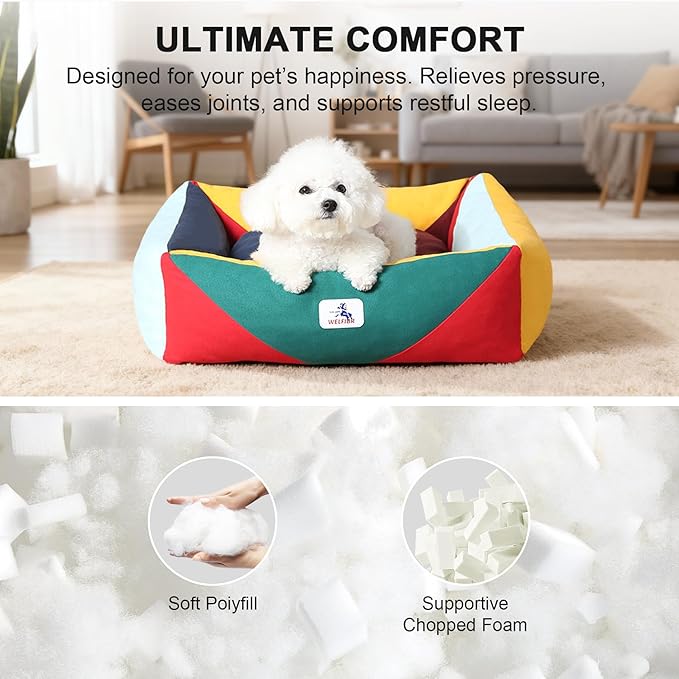 290 GSM Cotton Canvas Dog Couch Bed, Washable Removable Cover, Tough Bolster with Supportive Chopped Foam, Anti-Slip Bottom (Small)