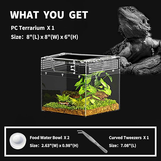 Reptile Mini PC Terrarium Amphibian Tank, 8"x8"x6"Jumping Spider Enclosure Multi-Habitat Reptile Terrarium for Tarantula, Hermit Crab, Insect, Fish, Frog, Small Bearded Dragon, Lizard