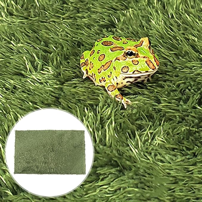 POPETPOP 2pcs Turtle Snake Gecko Terrarium Carpet Reptile Mat for Iguana Chameleon Rabbit Washable Odorless Soft Absorbent Terrarium Liner
