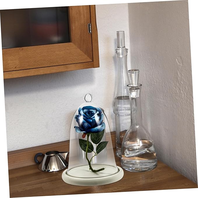 Garneck 1set Preserved Flower Glass Dome Base Decorative Flower Display Cover for DIY Micro Landscape Ornament for Home and Parties