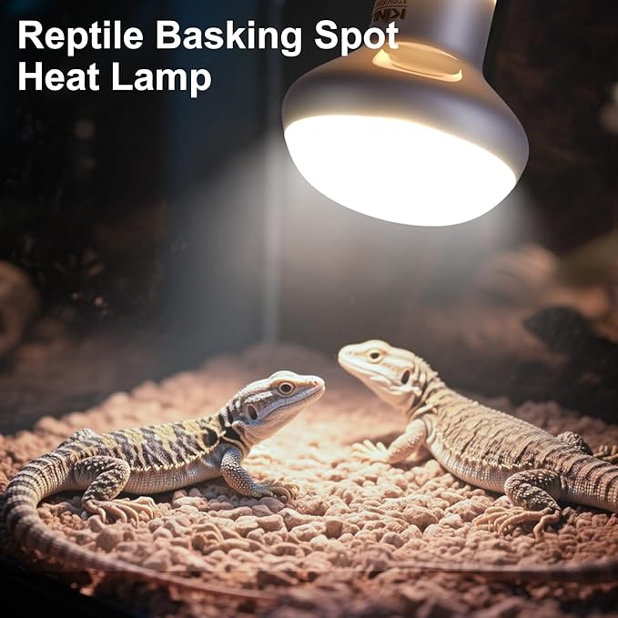 KINUR Reptile Heat Lamp Bulb-75W 2 Pack,UVA Basking Light,Natural Daylight Heating Light for Bearded Dragon,Turtle,Tortoise,Lizard,Snake,Gecko,Chicken with Digital Temperature Strips E26