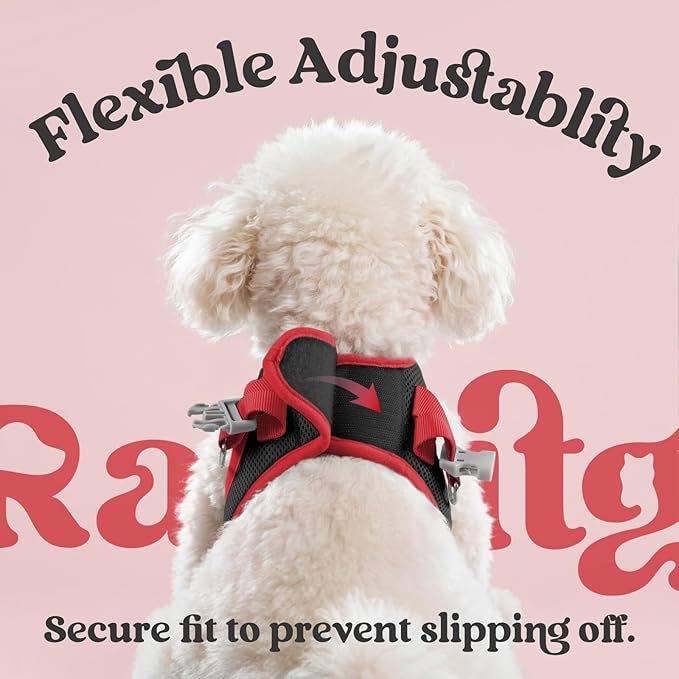 rabbitgoo Dog Harness Small Sized and Leash Set, Step-in Breathable Pet Harness, Soft Walking Reflective Puppy Vest for Small Dogs, Black & Red, XS