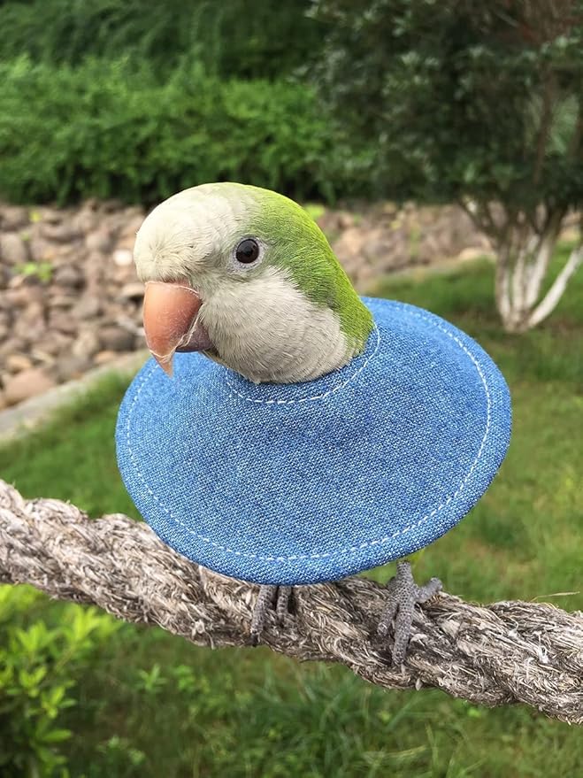 Adjustable Bird Collar - Recovery Collar Parrot Elizabeth Collar for Feather Plucking Feather Protector Shield with Soft Padded Cotton Neck Cone Anti-bite Anti-Licking Wound Healing (2M,Blue)