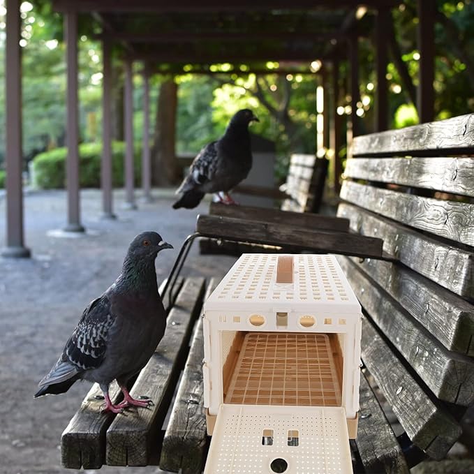 Portable Pigeon Folding Cage Handle for Pigeon Birds Compact Design Easy to Carry