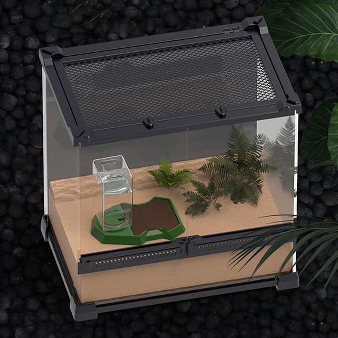 Reptiles Water Bowl with Clear Bottle Automatic Water Dispenser Drowning for Lizards Turtles Bearded Dragons Reptiles Water Feeder