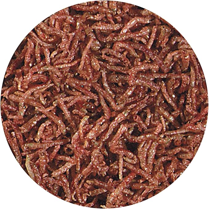 Hikari Bio-Pure Freeze Dried Blood Worms For Pets, 1.58-Ounce