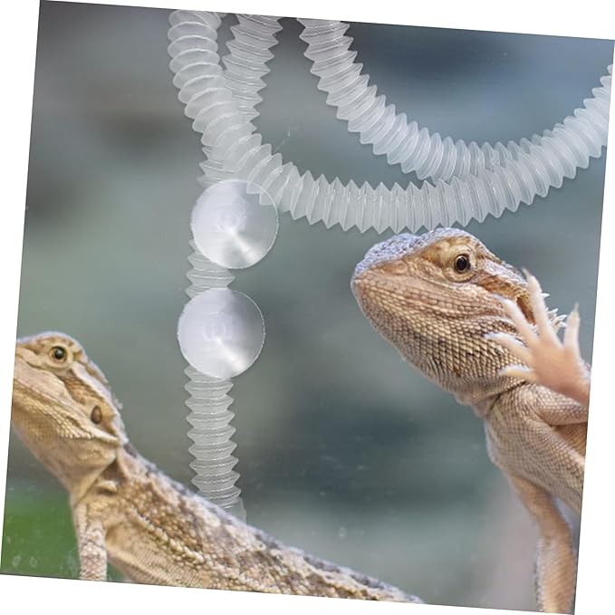 1Set Reptile Humidifier Extension with Cup Flexible Hose for Reptile and Amphibian Habitat Easy Installation Compatible with Containers Essential