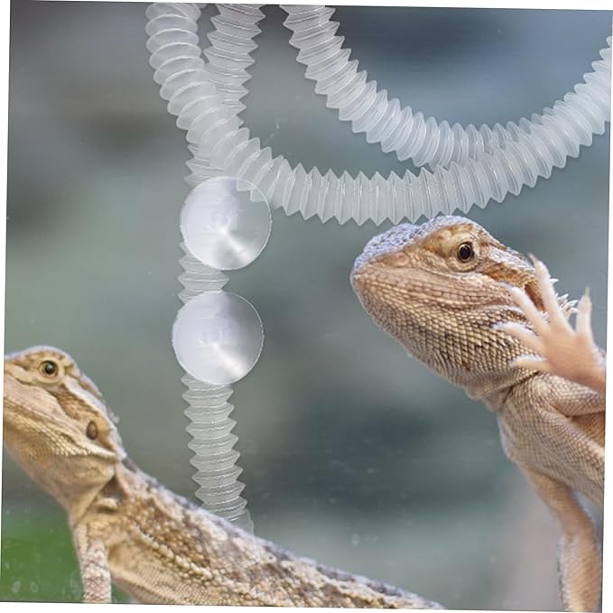 1Set Reptile Humidifier Extension with Cup Durable Stretchable Hose for Easy Installation Compatible with Reptiles Amphibians and Tanks Reptile Accessories