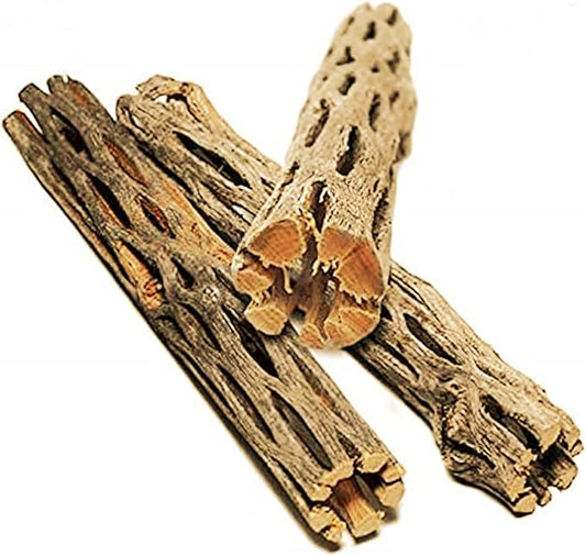 SunGrow Leopard Gecko Cholla Wood, 5 Inches Long, Create Basking Spot, Artistic Home-Decor, Lizards and Bearded Dragons, 3-Pack