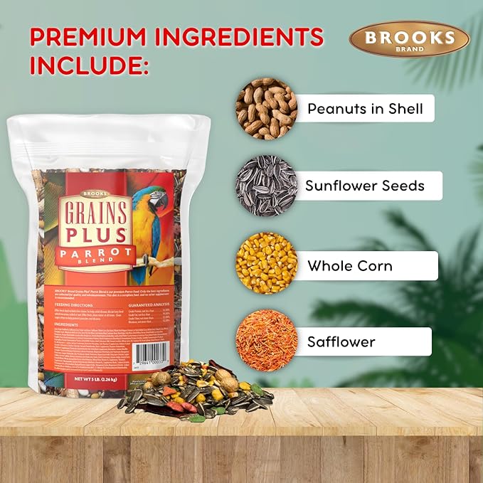 Grains Plus Parrot Blend, Bird Food Parrot Seed Mix, African Grey Food, Eclectus, Indian Ringneck, Quaker (5 lbs)