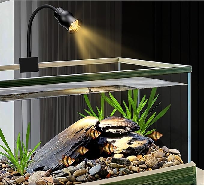 Modern Transparent Glass Aquarium with Decorative Border Living Room Office Ornamental Glass Aquarium Desktop Transparent Fish Tank Turtle Tank Desktop Display(50x31x23.5cm)