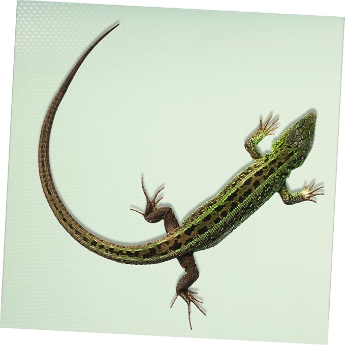 Reptile Carpet for Terrarium Bearded Dragon Snake Tortoise Bedding Eva Mat Cut-