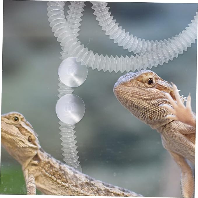 1set Reptile Humidifier Accessories Flexible for Reptiles and Amphibians Includes Cups Safe Material for Terrariums and Containers