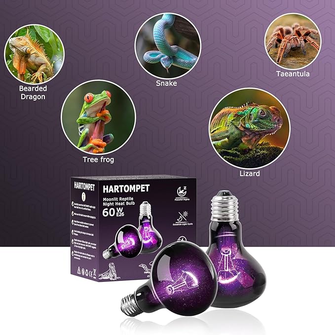 HARTOMPET 60W Reptile Night Light Bulb-Simulate Natural Moonlight, for Bearded Dragon,Lizard, Snake
