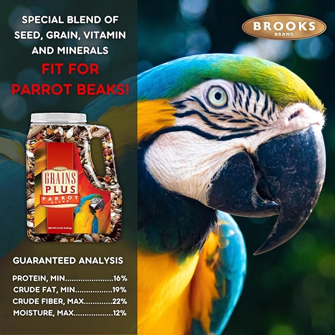 Grains Plus Parrot Blend, Bird Food Parrot Seed Mix, African Grey Food, Eclectus, Indian Ringneck, Quaker (4.5 lbs)