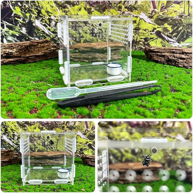 GKPONSX Magnetic Acrylic Spider Terrarium, Transparent Jumping Spider Enclosure with Dropper Tweezers Bowls for Insects, Crickets, Gecko, Scorpion, Sling, Mantis, Frog, Isopods, Snails, Hermit Crabs