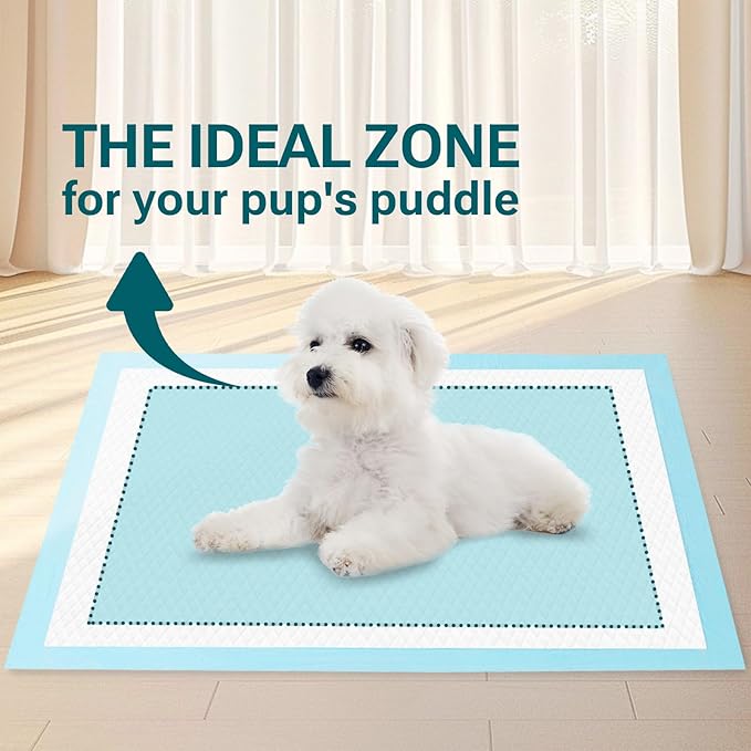 Clean Spaces 100 Count Super Absorbency Puppy Pads 22"x 22", Leakproof Quick Drying Dog Training Pee Pads, Puppy Pee Pads, Disposable Underpads Changing Pads for Baby, Puppy and Adults