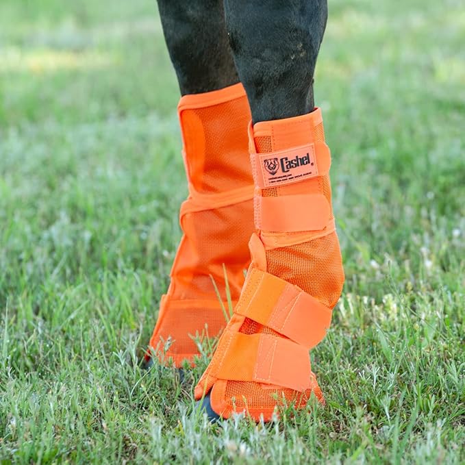 Cashel Crusader Horse Fly Leg Guards Orange Horse