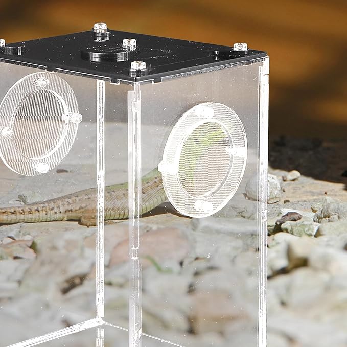 Mipcase Box Box Reptile Feeding Lizard Terrarium Reptile Tank Enclosure Jumping Spider Habitat Container Carrier Breeding Tanks Transparent Feeding Accessories Snake Cage