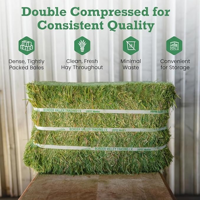 Border Valley Bermuda Grass Hay Bale in Bag, 40 lb, High Fiber Hay for Rabbits, Guinea Pigs, Chinchillas, Tortoises, Horses and Livestock - Soft Textured Grass, Farm-to-Home Freshness